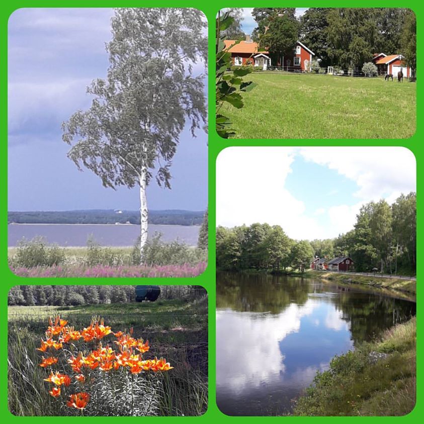 Tag 10 - 05.07.2017 Mit dem Fahrrad zum Polarkreis Schweden