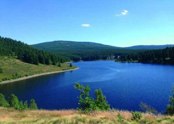 Harz
